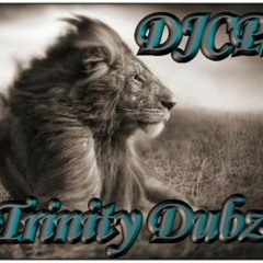 DJCP1