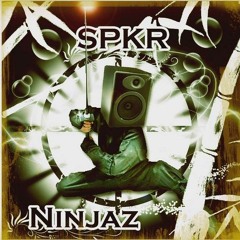 SPKR Ninjaz