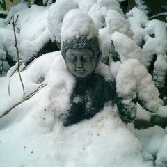 user dj b.gahan 17041967