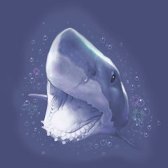 MakoSharkEsq