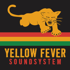 djyellowfever