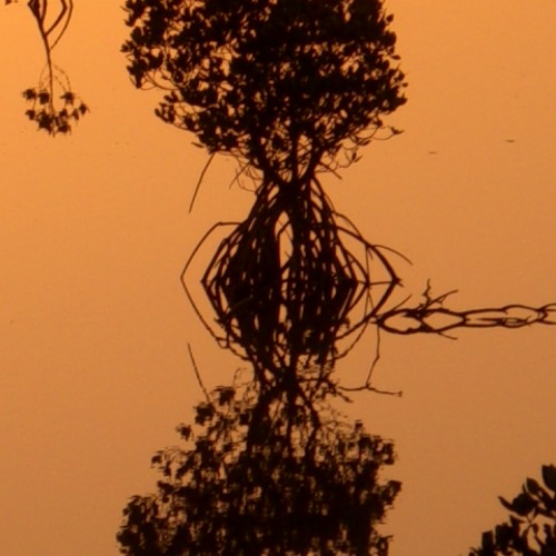 01 2011 domix aw mixcd