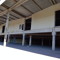 El_Bruto