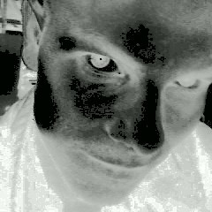 ElsewhereSoundProvisions