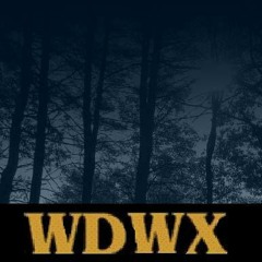 WDWX (prod by ROXXXTEADY)