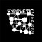 Synthetic Catalogue