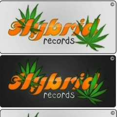 HYBRID RECORDS