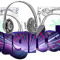 Digitek-1