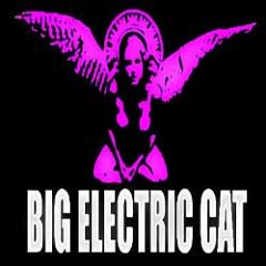Big Electric Cat