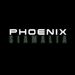 phoenix101