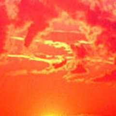 Lava Lava Everywhere