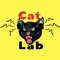 CatLab