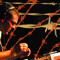 BARBWIRE