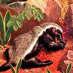 RaTeL Psy