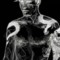 ORION_IS