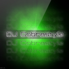 DJ Cobrastyle - House Electro Sex Mix ;)
