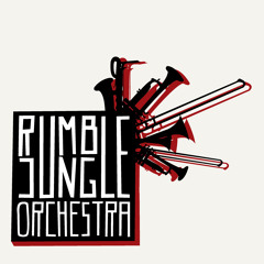Rumble Jungle Orchestra