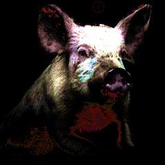 Pigswill