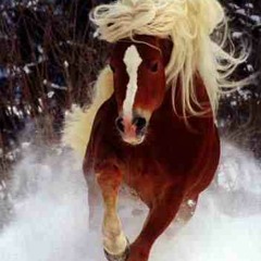 Morteza Pashayi - Yadete )