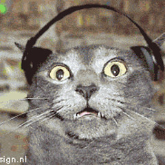 Cuppa-T Cat
