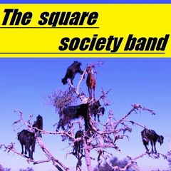 The Square Society Band