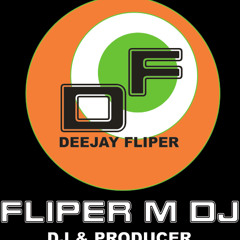 Fliper M