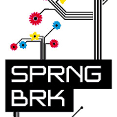 springbreak 2010