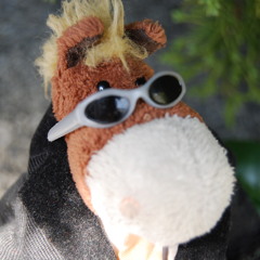 Mollbinde