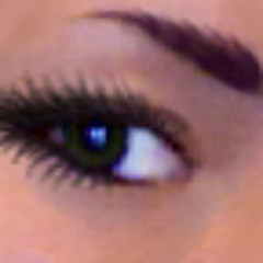 Fire in the Forest (David Sylvian)