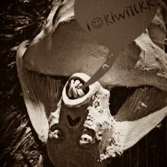 Kiwitek - RAW liveset NYT 2602
