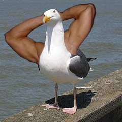 Dee-Pee