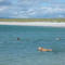 Dogsbay