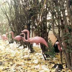 NewAge Meditation Noise