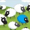 BlueSheep