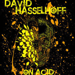 David Hasselhoff On Acid