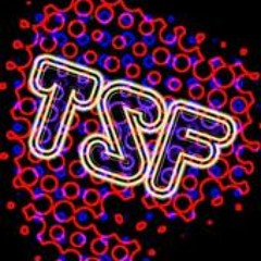 TSF podcast #14 - Elepho (Stéréorgasmik progressive trance mix)- Free download