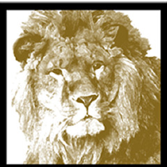 King of Beasts Records