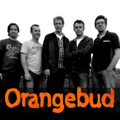 orangebud