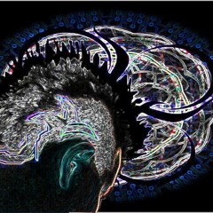 Psychodelic Performance