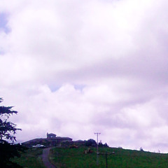 软绵绵 - 黄龄 Isabella HUANG