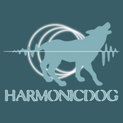 harmonicdog