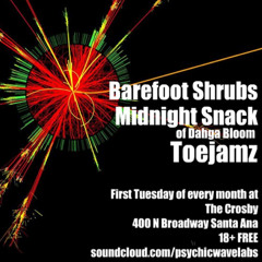 Psychic Wave Laboratories