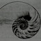 Nautilus.Down