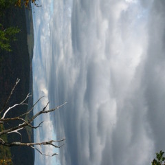 Back To Nature (originally by Fad Gadget)