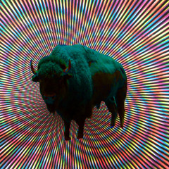 Psychedelic Buffalo