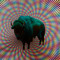 Psychedelic Buffalo