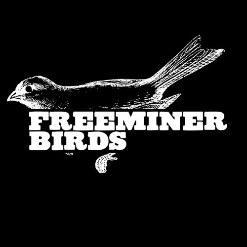 Freeminer Birds’s avatar