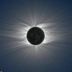 My Main Man Walter Bix