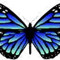 NeicyB