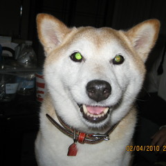 machicloud